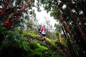 BIB: 
                            <button type="button" onclick="openModal(26201949)" class="btn btn-primary btn-sm float-right btn-popup" data-toggle="modal" data-target=".modal-high-quality">
                        <i class="fas fa-shopping-cart"></i> Add to Cart
                    </button>
                                            <button type="button" onclick="isThisMe(26201949, true)" class="btn btn-success btn-sm float-right btn-popup btn-isme hidden" data-toggle="tooltip" data-placement="bottom" title="นี่คือรูปของคุณใช่ไหม คลิกที่นี่เพื่อเอาเข้าอัลบั้ม">
                        <i class="fas fa-plus"></i> Add to album
                    </button>
                    <button type="button" onclick="isThisMe(26201949, false)" class="btn btn-warning btn-sm float-right btn-popup btn-isnotme hidden">
                        <i class="fas fa-ban"></i> Remove from album
                    </button>